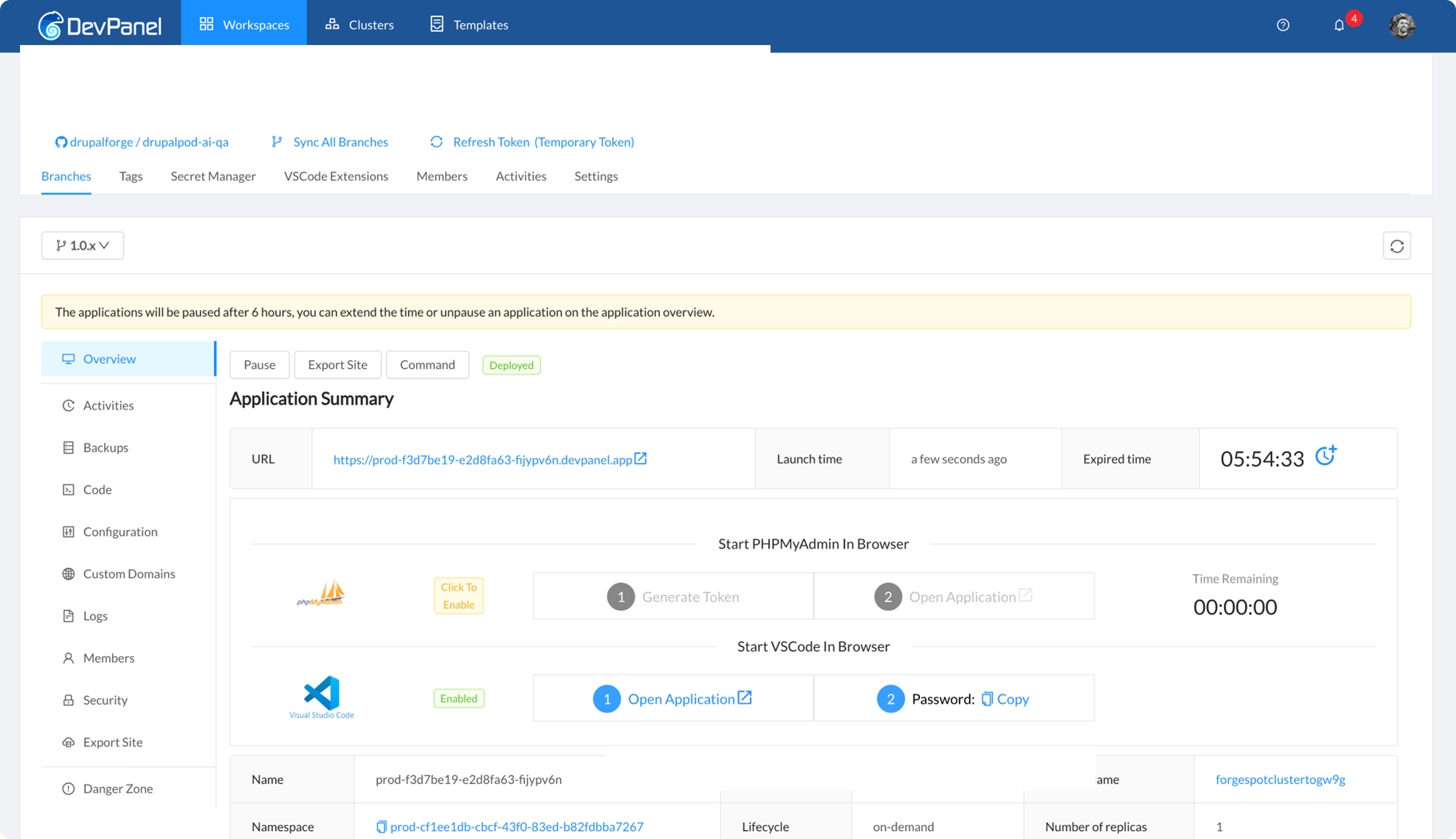DrupalForge DevPanel overview after deployment
