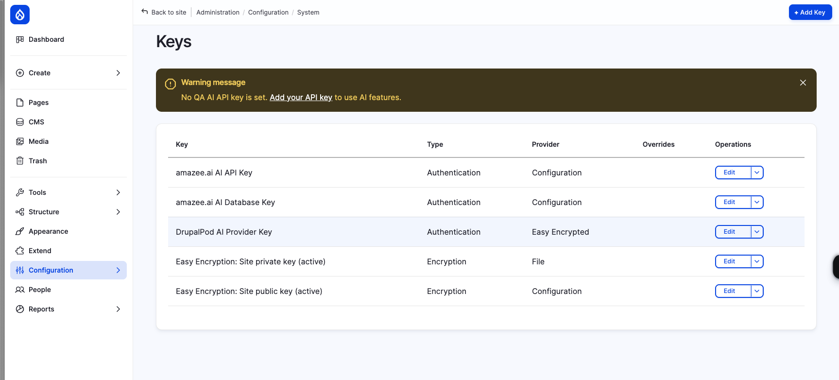 Drupal key list showing the DrupalPod AI provider key